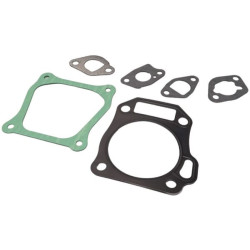 Alyvos aušintuvo komplektas 2459469S