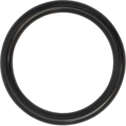 O formos žiedas 0481600200