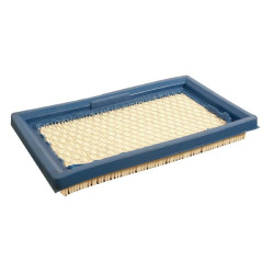 Oro filtras Lawn-Boy FGP011796