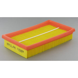 Oro filtras Lombardini SA17099