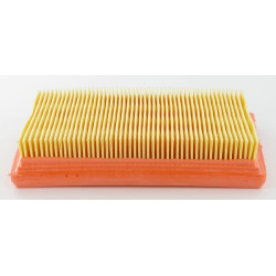 Oro filtras Lombardini 2175172