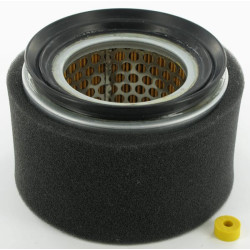 Oro filtras Lombardini 2175254