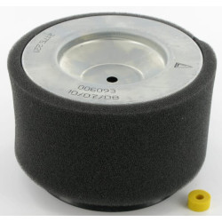 Oro filtras Lombardini 2175254