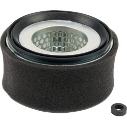 Oro filtras Lombardini 2175252