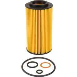 Alyvos filtras 2175001