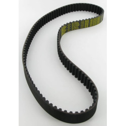 Paskirstymo diržas, 114 dantų, Lombardini 2440298