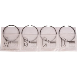 Stūmoklio žiedų komplektas, standartinis ED0082100580S