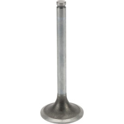 Įsiurbimo vožtuvas 9652101