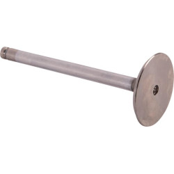 Išmetimo vožtuvas ED0096520190S