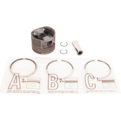 Stūmoklio komplektas 0,50 ED0065015130S