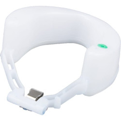 Antgalio adata, Lombardini ED0041050190S