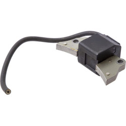 Uždegimo ritė, Lombardini 1567223