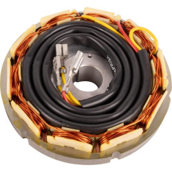 Generatoriaus statorius ED0011571580S