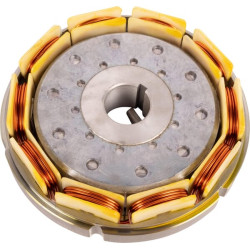 Generatoriaus statorius ED0011571580S