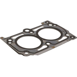 Cilindro galvutės tarpinė 4731058