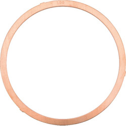 Cilindro galvutės sandariklis 1,00 4730088