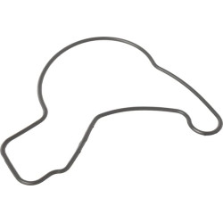 O formos žiedas 1200292