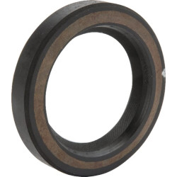 Alyvos sandariklis Lombardini 1213006