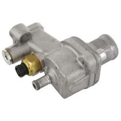 Lombardini termostatas 4896208