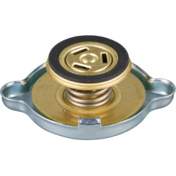 Radiatoriaus dangtelis 9000114