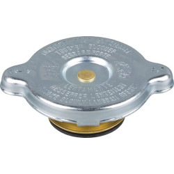 Radiatoriaus dangtelis 9000114