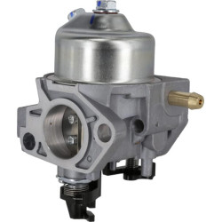 Karbiuratorius 1700215570001