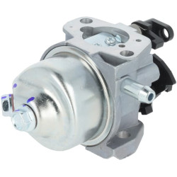 Karbiuratorius 1700218740001