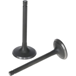 Vožtuvų komplektas 5005500320001