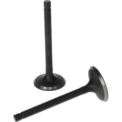 Vožtuvo mazgas 5005500300001