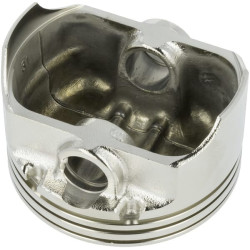 Stūmoklis 1300303010001