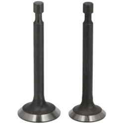 Vožtuvų komplektas 5005500340001