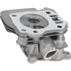 Cilindro galvutė 1200802760001