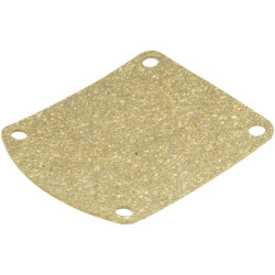 Alsuoklio kameros tarpinė 1108500120001