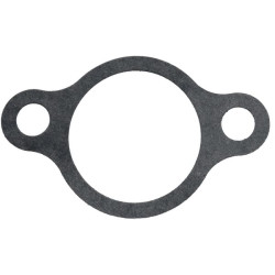 Karbiuratoriaus tarpinė 1704300620001