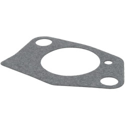 Karbiuratoriaus tarpinė 1704300990001