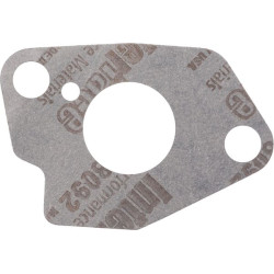 Karbiuratoriaus tarpinė 1704300490001