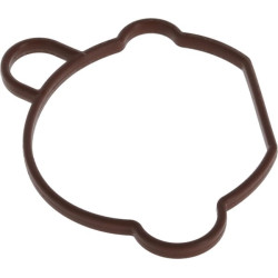 Karbiuratoriaus tarpinė 1704301730001