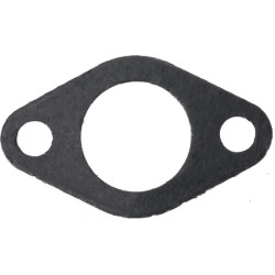 Duslintuvo tarpinė 1806500900001