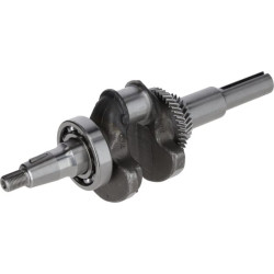 Raktas 1302900700001