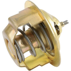 Termostatas 31B4602200
