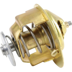 Termostatas 32A4612100