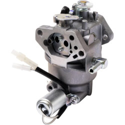 Karbiuratorius 65105545
