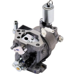 Karbiuratorius 65105545