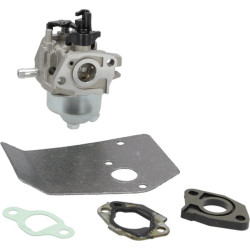 Karbiuratoriaus mazgas 75110309