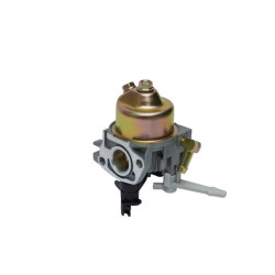 Karbiuratorius 75114423