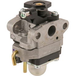 Karbiuratorius 75305251