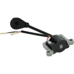 Uždegimo ritė, MTD 09263094