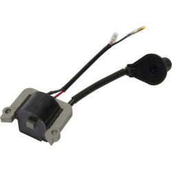 Uždegimo ritė, MTD 09263055