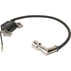 Uždegimo ritė, MTD 75111989