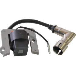 Uždegimo ritė, MTD 75110367